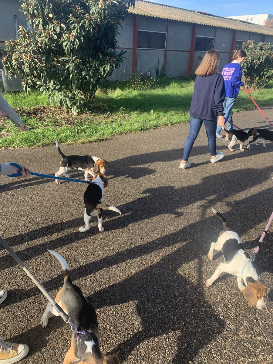 claracarcass's tweet photo. que me vayan a dar créditos por cuidar a este bebé y de sus hermanillos 🥹🌺 https://t.co/4kdRXx7f3V