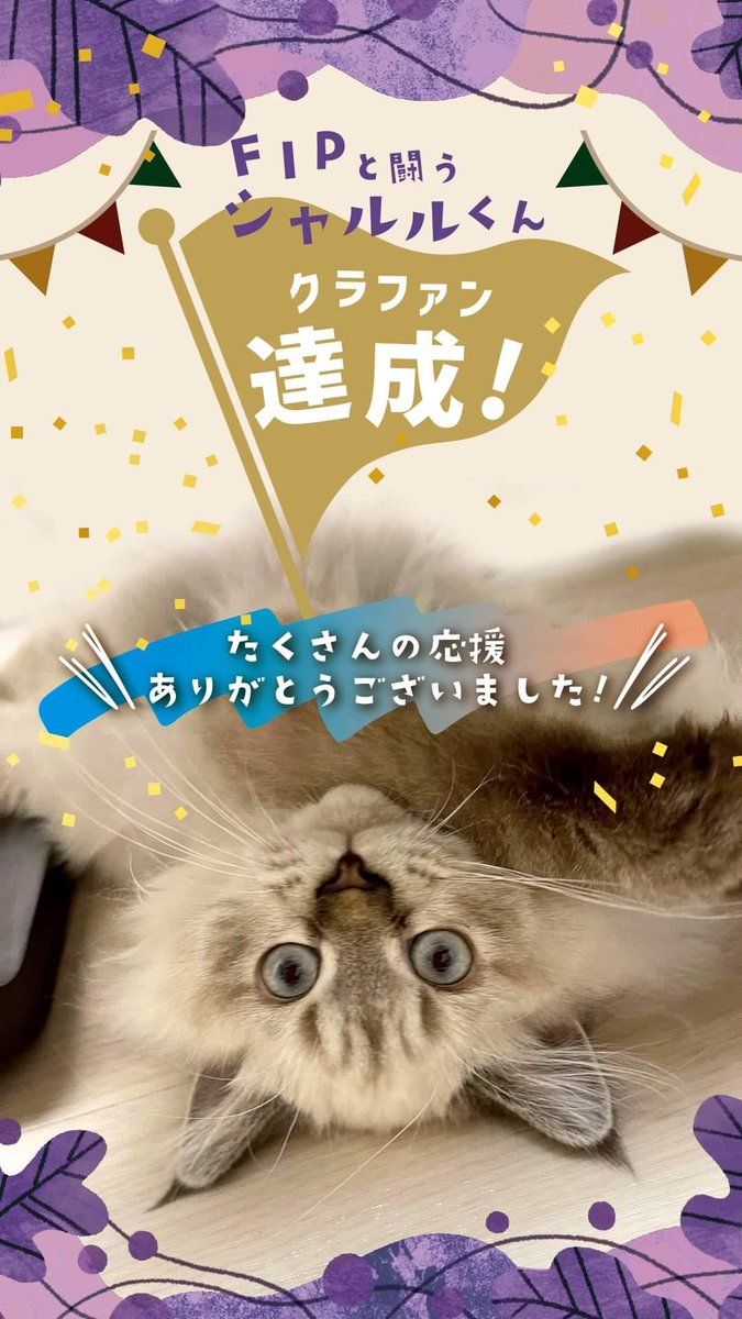 達成おめでとう㊗️( ̳> ·̫ < ̳ฅฅﾞﾊﾟﾁﾊﾟﾁﾊﾟﾁ