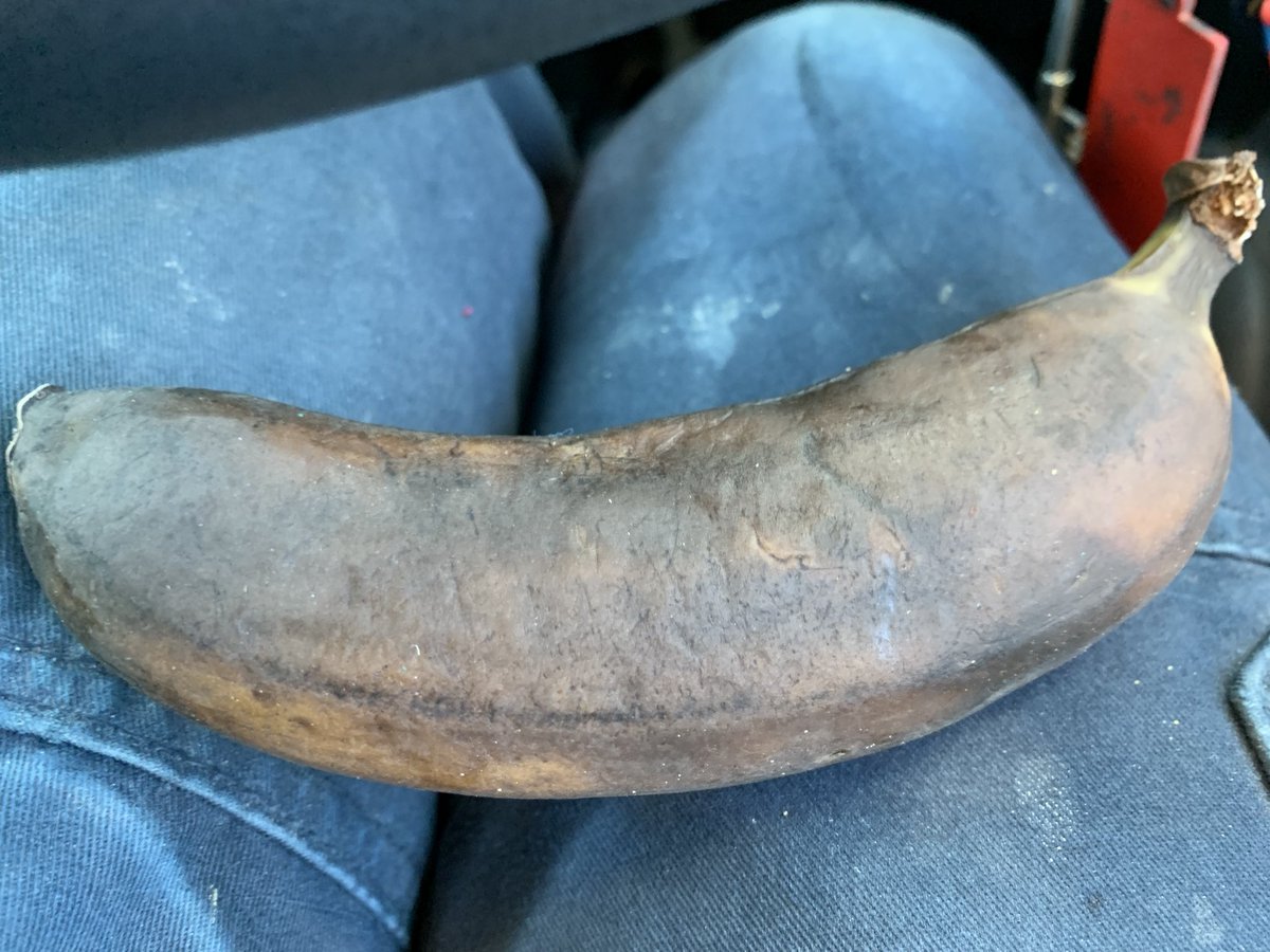 michael_goodey's tweet photo. Left a banana in the car
Looks tempting 😭😭😭😭😭 https://t.co/no3GXWETPV