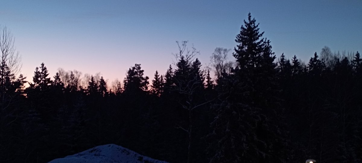 Beautiful & cold sunrises 
Sweden, -14ºC (unbelievable for a Mallorcan ❄️😅)
#KarolinskaInstitutet #Postdoc