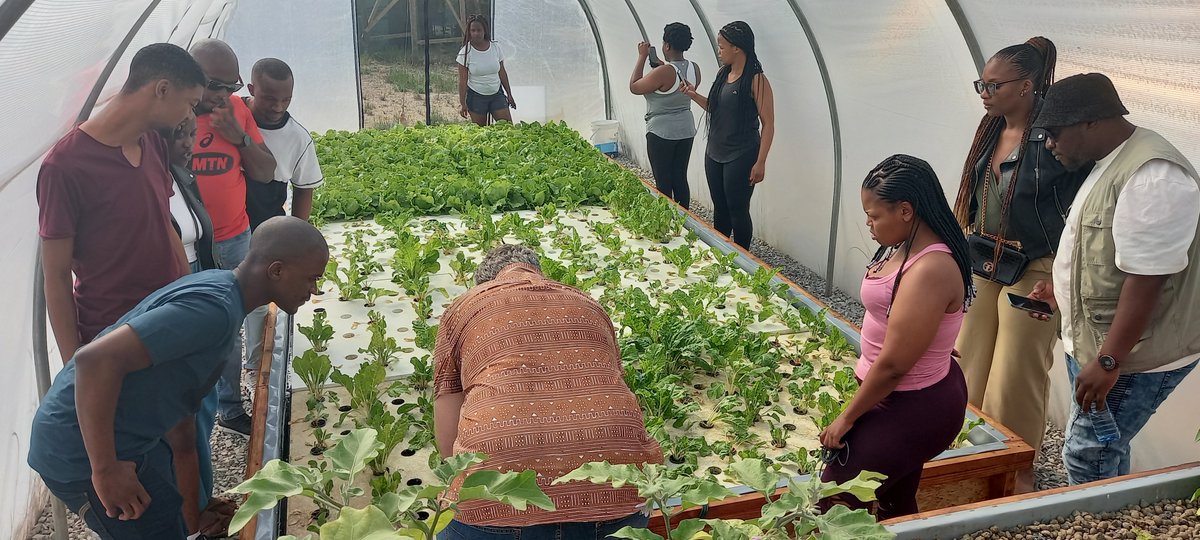 dstigovza's tweet photo. Going through the greenhouses
@AgroHub @StellenboschUni to learn more about #Aquaculture #Aquaponics #Hydroponics with Henk Stander #WSF_ZA2022 #ScienceforSocialJustice #university #agro https://t.co/n4ZLdomcv2