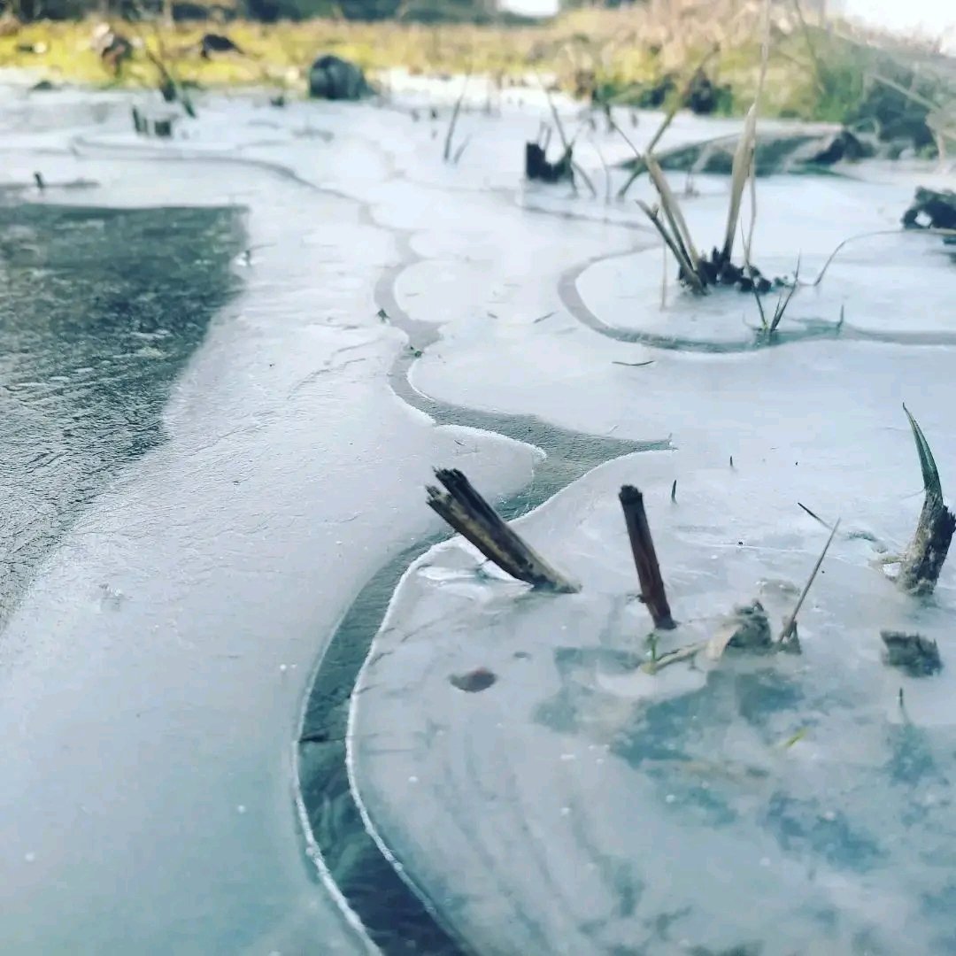 KashmirWeather2's tweet photo. My area this morning 🥶
#Garoora
12km from Bandipora
Temp this morning: -5.2°C
@shubhamtorres09
@KashmirForecast https://t.co/ZKFEkPYfck