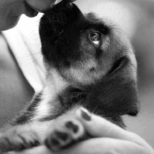 honky_tonk's tweet image. Affection is what I seek. It is what gives me peace of mind.

愛情が僕の求めているもの。僕に安心を与えてくれるもの。
#peace_of_mind #安心 #affection #愛情
RP @Dida_ti