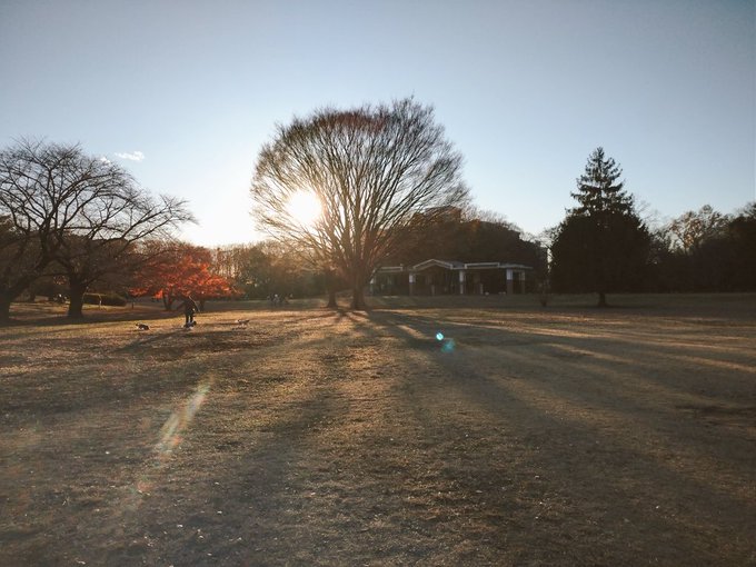 「ベンチ 公園」のTwitter画像/イラスト(新着)