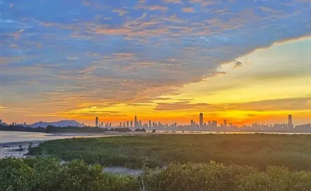 iGuangdong's tweet photo. 👏 #Shenzhen was included in the #CitiesWithNature initiative and won the title of “#Biodiversity Charming City.” The results were announced at the 7th Summit for Subnational Governments & Cities, a parallel event to #COP15 to the @UN Convention on Biological Diversity. #EcoGD https://t.co/fTzDOB0zqj