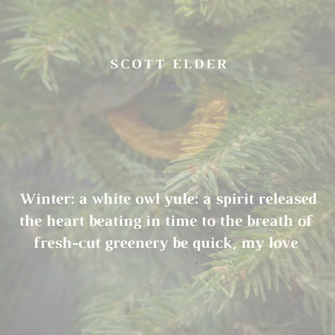 15th December 

#paperswansadvent #micropoetry #advent #poetry