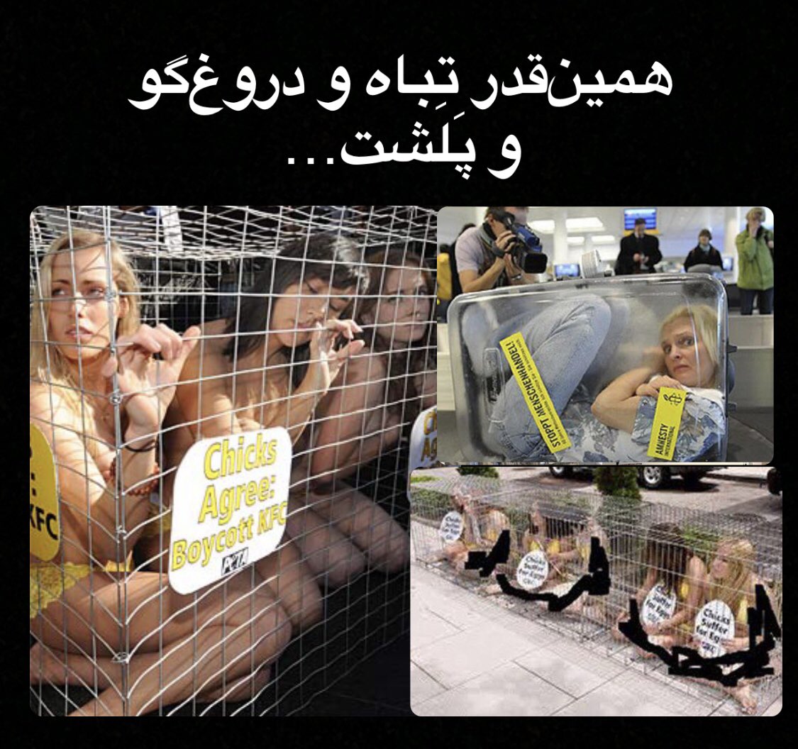 Pejman Mousavi tweet media