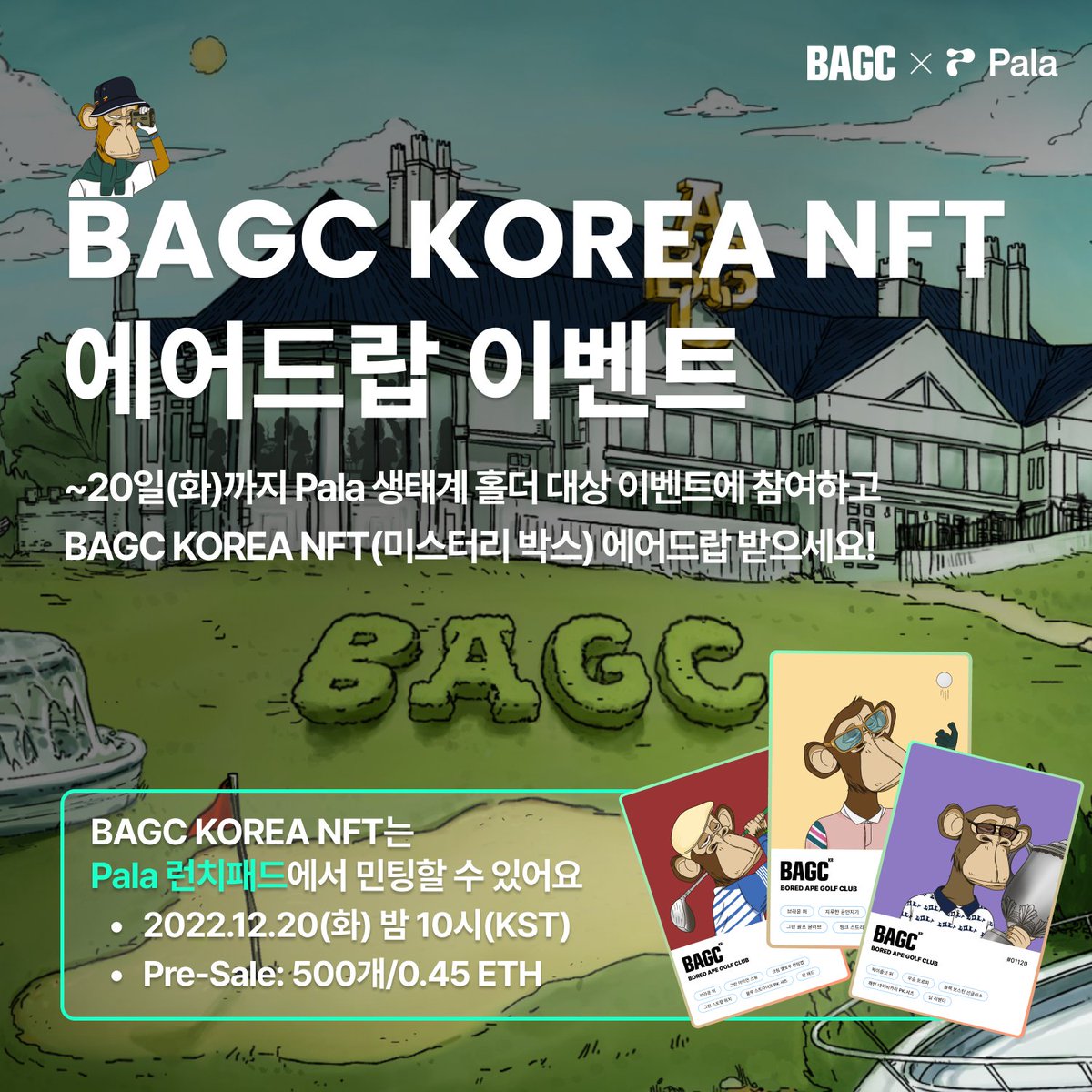 Pala l 팔라 tweet media