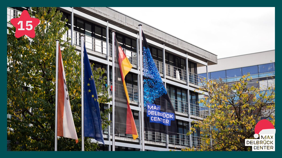 MDC_Berlin's tweet photo. To ensure that our findings reach #patients quickly, the #mdcBerlin cooperates in networks – #Berlin, #Germany- and worldwide. Since 2013, we have been part of @EULIFE_news, an alliance of 15 leading #LifeScience #research institutes in #Europe: https://t.co/anHib69GuC #mdc30 https://t.co/iG34Lt18lN