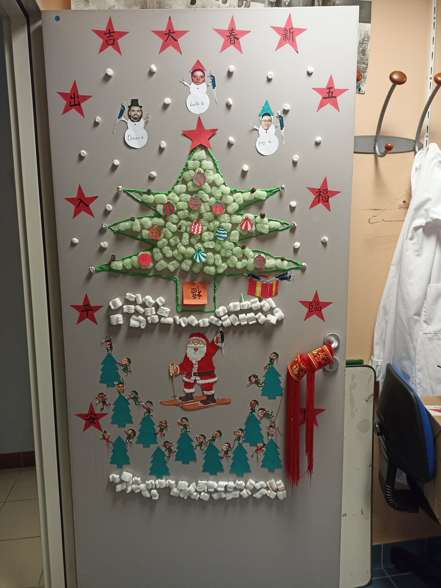 #christmasdoor in our institute @IPSiM4 ...few samples 😉