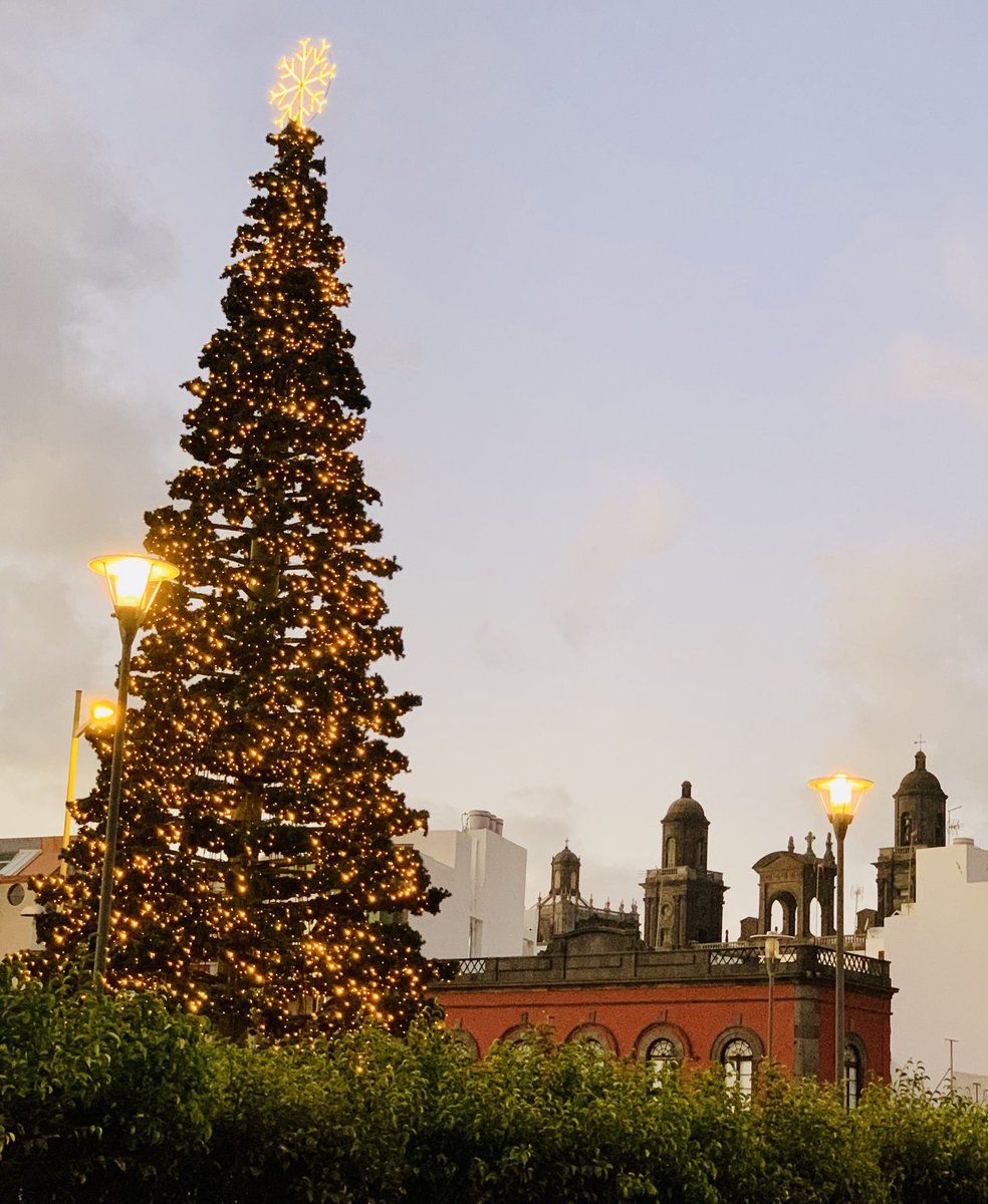 jfguzmanm's tweet photo. #FelizNavidad #24Grados #Vegueta #LPGC #GranCanaria #Pateando https://t.co/J2nv8tkNdW