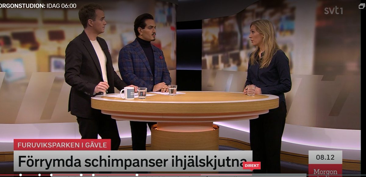 VärldsnaturfondenWWF tweet media