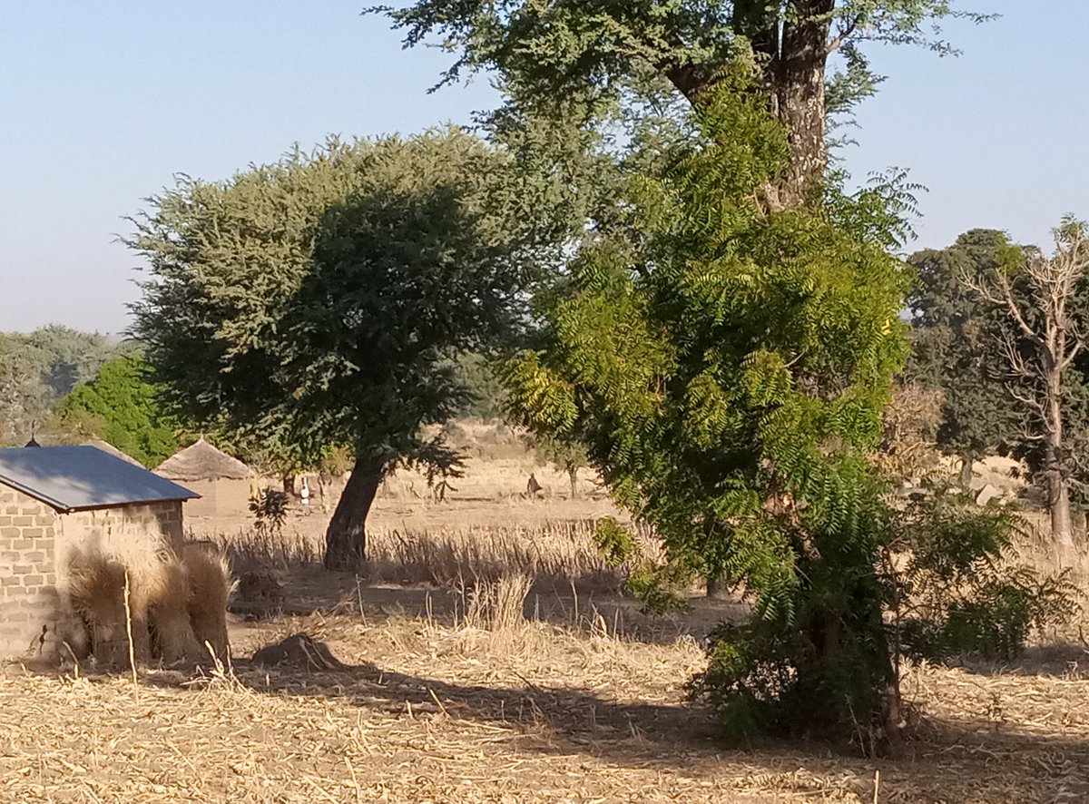 DigaMathieu's tweet image. Le voyage 🚘🚗 et la mission se poursuivent vers la frontière nigériane 🇳🇬 

Les paysages 🏜️ sont splendides mais la vie doit être tellement rude dans les petites cases traditionnelles du Nord Cameroun.

Puisse notre appui leur apporter aussi un petit quelque chose 🙏🏽