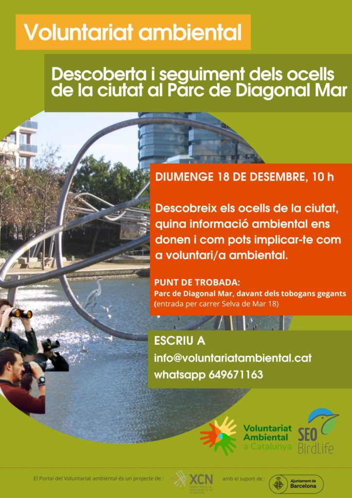 VolAmbiental's tweet photo. Aquest diumenge 18 de desembre, descobreix els ocells de la ciutat, quina informació ambiental ens donen i com pots implicar-te com a voluntari/a ambiental. Amb @SEOBirdLife_Cat  al Parc de Diagonal  Mar de Barcelona

https://t.co/mUwFGuPKuc https://t.co/kCdKYJMZeZ
