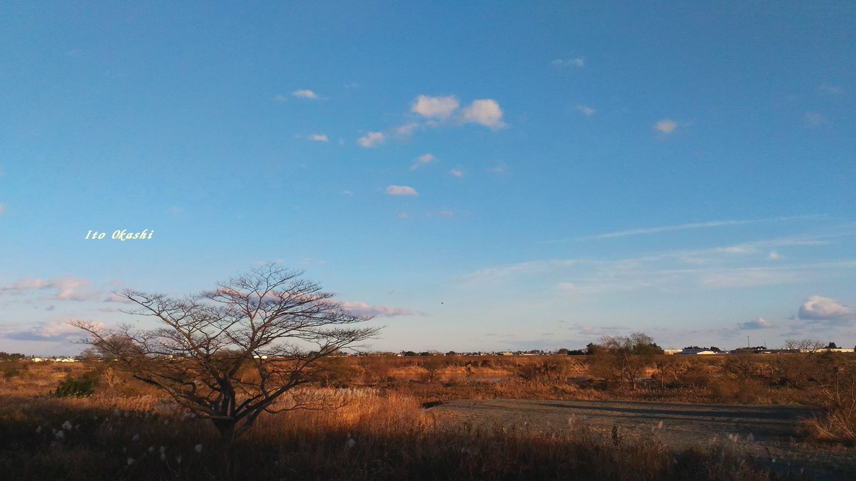 夕方のお散歩👣
#カメラ好きな人と繋がりたい