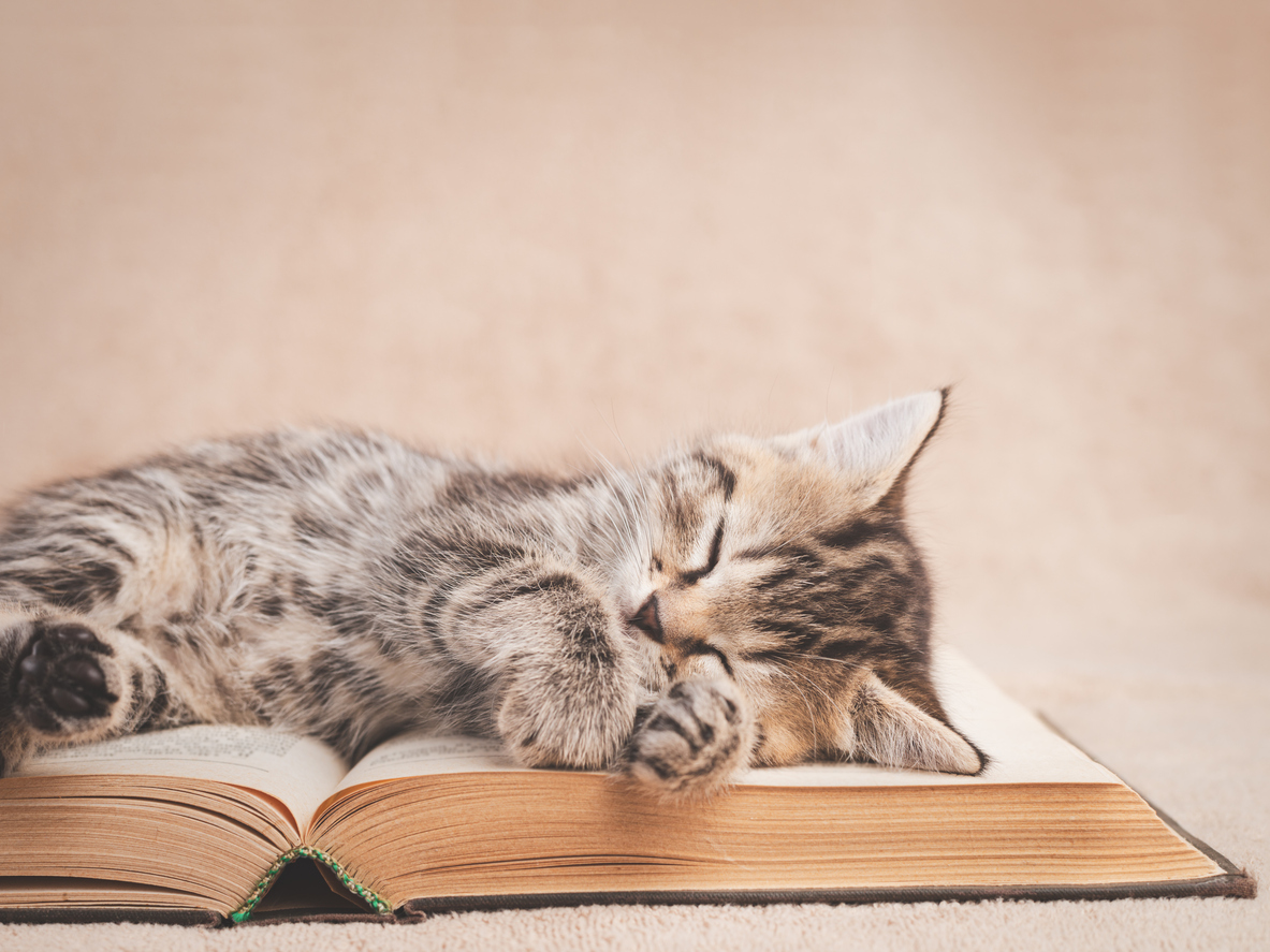 TrainingZone's tweet photo. Check out our most popular reads for 2022! https://t.co/Ng6v0sKduX #learning2022 #training #learningleaders https://t.co/PmZU70a5eQ