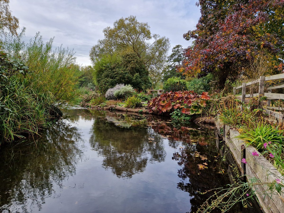 fullersmillgarden tweet media