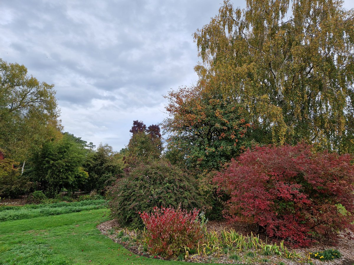 fullersmillgarden tweet media