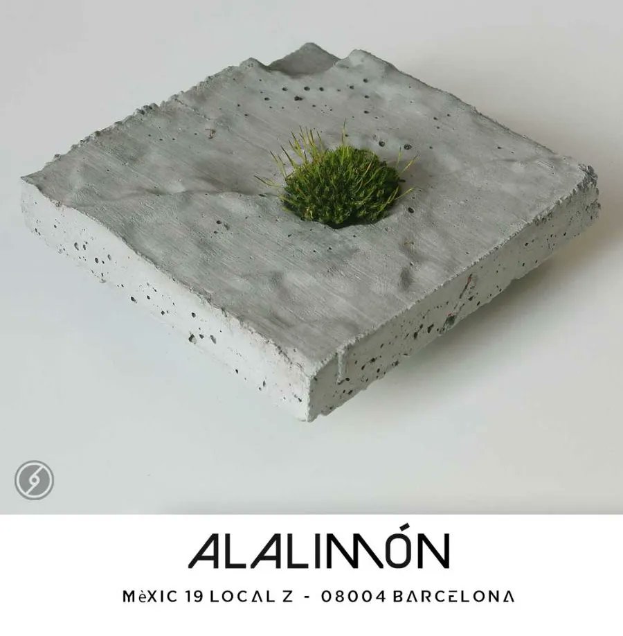 Bueno pues aquí ya no hay vuelta atrás y mañana inauguramos la exposición titulada #Exobiomas en la galería <a href="/alalimongaleria/">Alalimón Galería</a>

Sí  no tenéis la oportunidad de pasaros, tenéis hasta mediados de febrero para hacerlo ✌️😅🌿