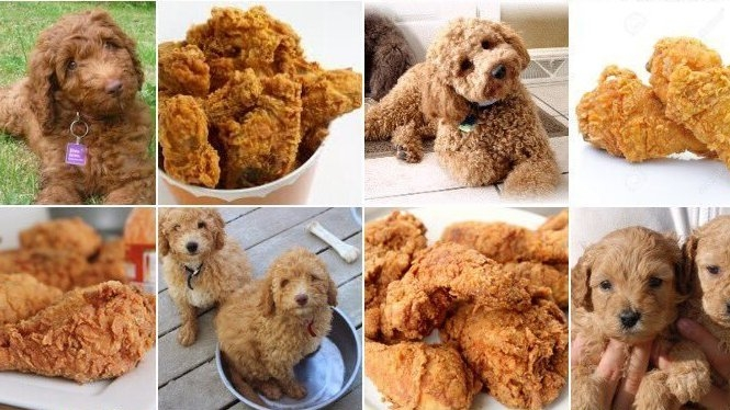 brown_sucrsoys's tweet photo. ไม่ได้ใช้หมาพูเดิลสีน้ำตาลเหรอคะ https://t.co/veD2MpGTHV