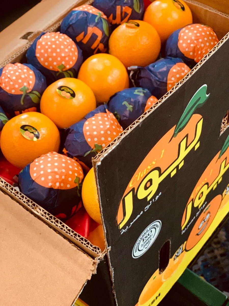 Alashrafgroup20's tweet photo. #Navel #orange season started in #Egypt 🍊🍊🍊
Get your orders from Al-Ashraf for packing and #exporting #citrus

Contact on (Wafaa Mosbah): +201050529566
https://t.co/lfhTe22RU0 https://t.co/EC0kf8jj4C