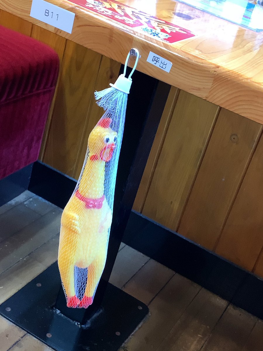 netgeek動物 tweet media