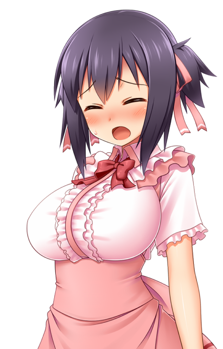 明日中に会話パートを最後までCG貼り付けしたい…………そうすればあとはえちしーんのCG貼り付けだから……(吐血
しかし立ち絵の表情差分がオリジナル版の倍くらいになってる気が……この顔可愛くていい感じだと思うの 