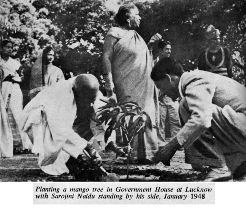 Remembering Iron Man of India #SardarVallabhbhaiPatel on his death Anniversary.