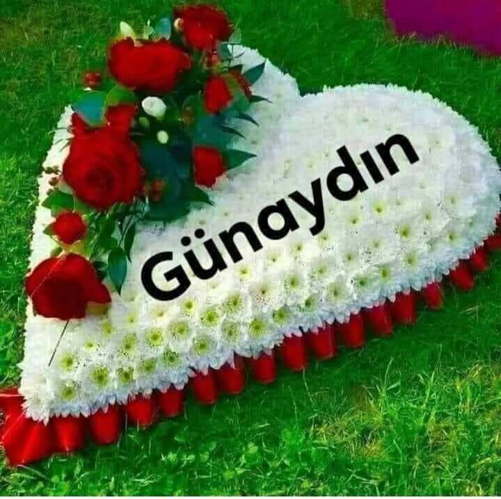 GokdulMustafa's tweet photo. @MineMerkit2 https://t.co/2ksaVESf79