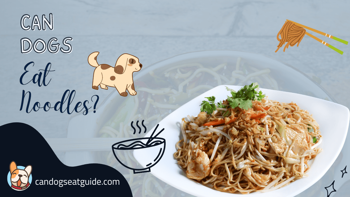 Can Dogs Eat? Guide on Twitter "Can Dogs Eat Noodles? Did you try