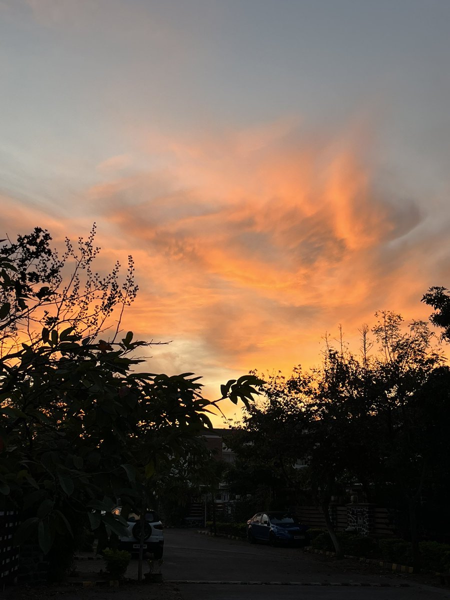 mudezign's tweet photo. Sky today morning! #pune #puneskies #foresttrails https://t.co/R5DLfab5z1