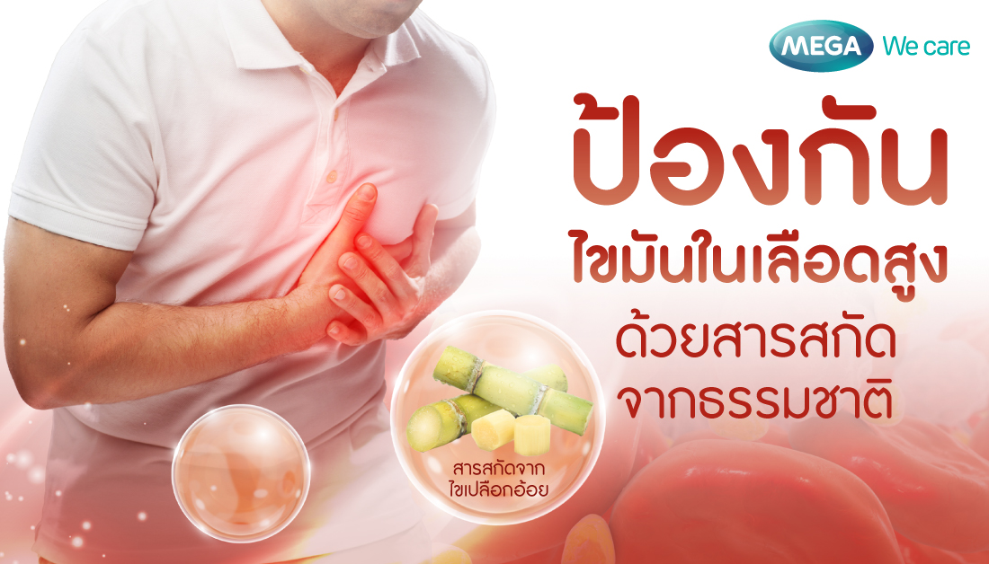 โพลีโคซานอล (Policosanol) สารสกัดจากไขเปลือกอ้อย ช่วยลดระดับไขมันคอเลสเตอรอล
.
อ่านต่อ 👉 shorturl.asia/j1yoY
.
#ไขมันในเลือดสูง #ไขมันคอเลสเตอรอล #ปิ้งย่าง #บุฟเฟ่ต์ #สารสกัดจากไขเปลือกอ้อย #โพลีโคซานอล #ลดไขมันคอเลสเตอรอล #ร่างกายแข็งแรง #เมก้าวีแคร์ #MEGAWecare