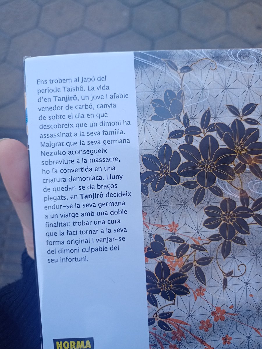 Júlia Baena tweet media