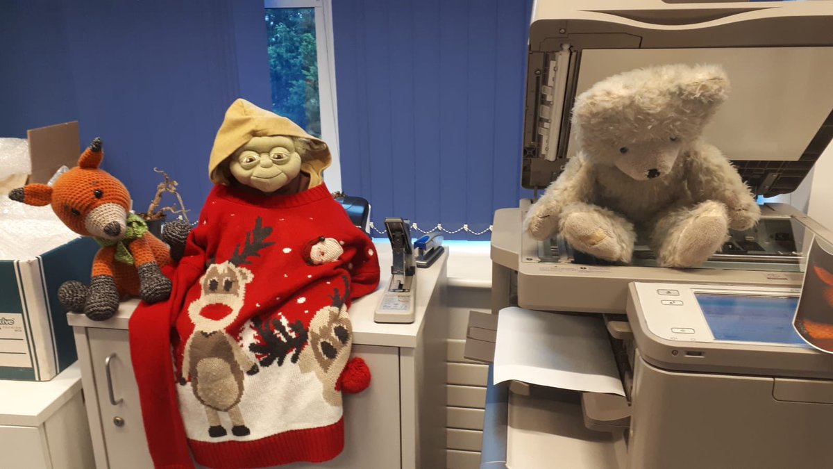 CHealthLib's tweet photo. Have you seen what #LibraryFox #Ted & #Yoda get up to out of hours. Whilst you can’t have a party, you are able to get 24hr access for study and relaxation over the Christmas period (not staffed 26th,27th and 2nd). Contact us to get a form #RCHT #CFT #CIOSICB #PlymUnj #ExeterMed https://t.co/Xi8CUueeuy