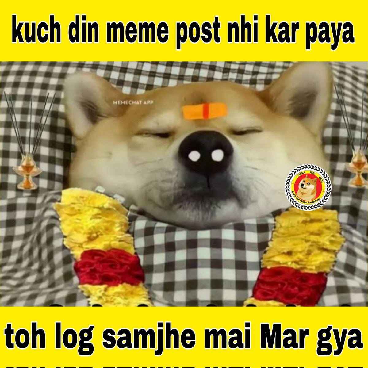 AndamanMeme's tweet photo. Mai zinda hu meri jaan 😈 fir machane aa gya hum! https://t.co/w6dAXgSwDp