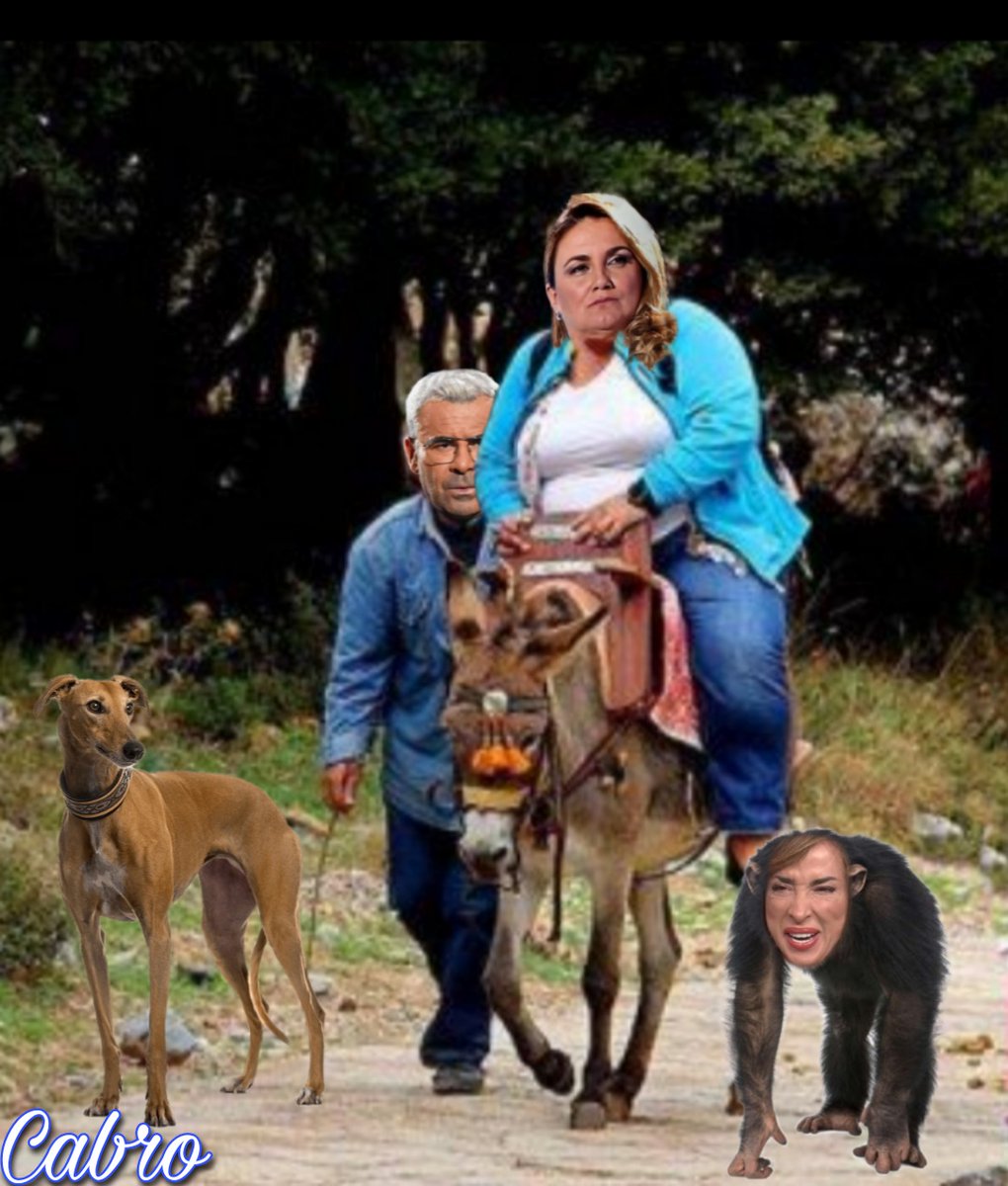 <a href="/LolitaZulay2/">Z 🇵🇸🇵🇸🇵🇸♀️♀️ 🌈 ✊✊✊</a> Anda reventando burros con su compinche el enano vejador de mujeres