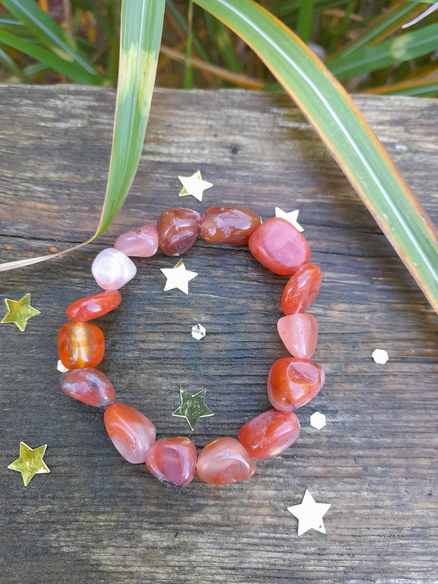 The Image Tree tweet media