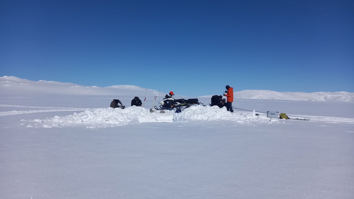 NKirchnerSthlm's tweet photo. #TarfalaResearchStation @Stockholm_Uni is announcing a MSc student grant, for fieldwork at TRS during 2023. Deadline for submitting applications: 28 February 2023.  Read more about the MSc grant and how to submit you application here: https://t.co/jFiMwRixJd https://t.co/zJzya1rSil