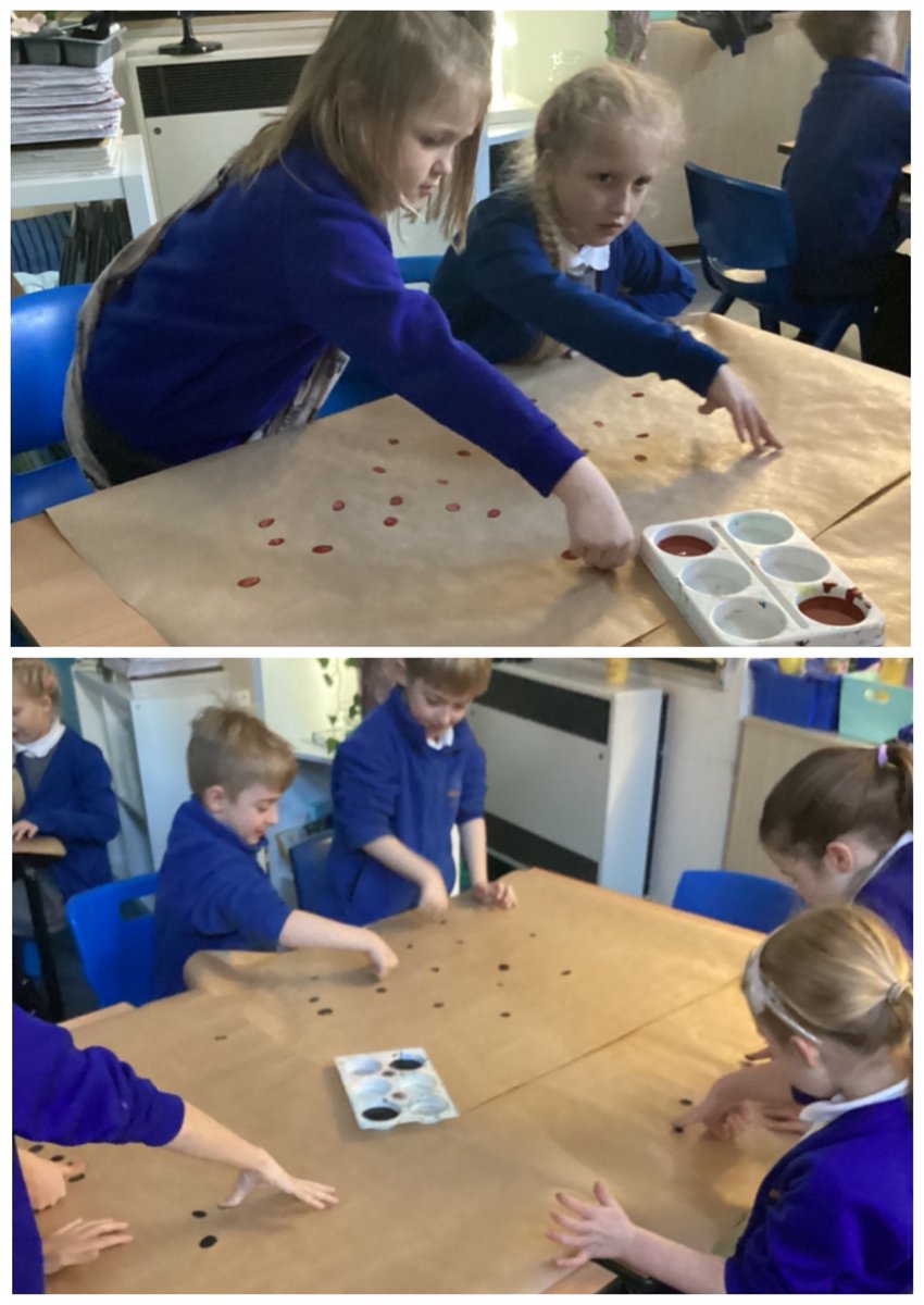 Owl Class tweet media