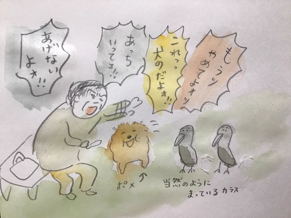 今日見た光景をイラストに！当然のように犬のおやつを待つカラス！