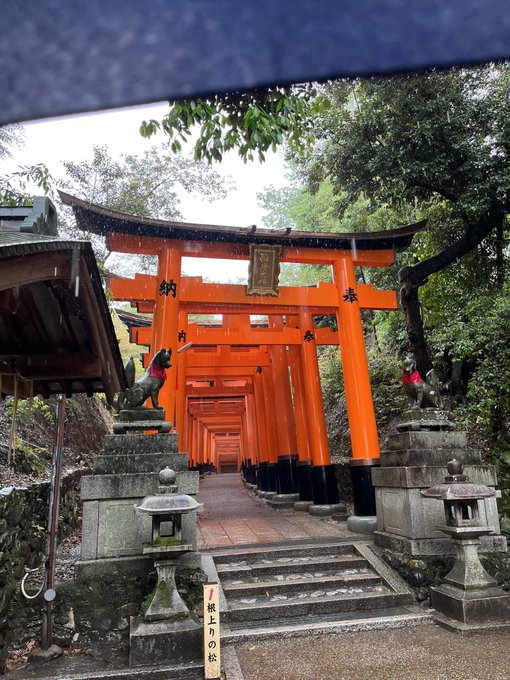 「神社 鳥居」のTwitter画像/イラスト(新着)｜5ページ目