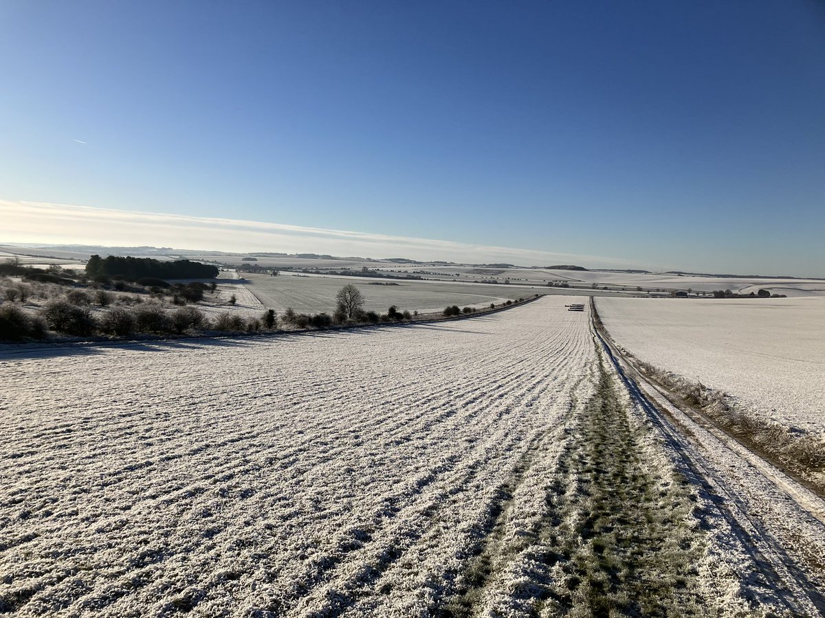 The gallops at Churn Stables really are looking rather stunning this morning. Such a lovely place to train horses! #noelwilliamsracing #churnstables #blewbury #horseracing #racehorses #horses #Scenery #frosty #photooftheday #PictureOfTheDay #TweetOfTheDay