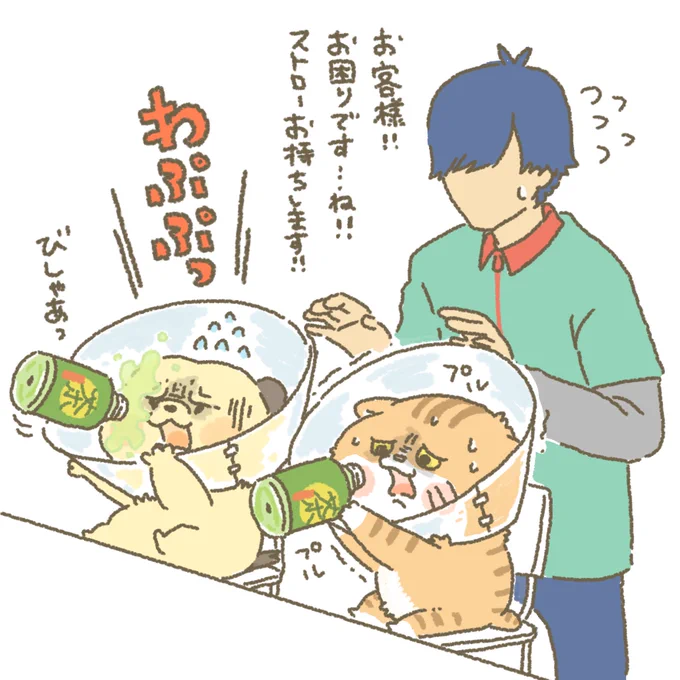 早く取れますように。。。
#もちもち #お客様こまります #アルバイト #コンビニ #困り顔 #エリザベス 
