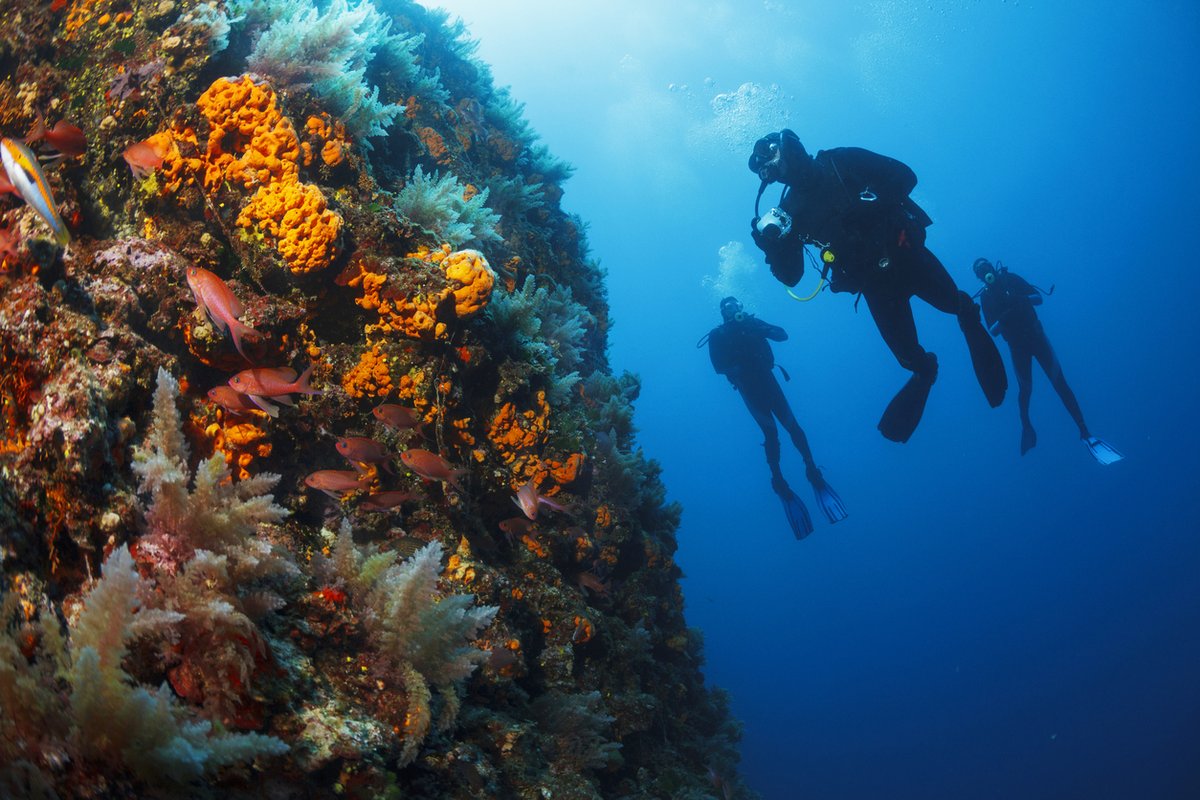 Coastwatersport's tweet photo. Scuba Diving Safety Tips To Consider
https://t.co/vWDgjeeJ3w https://t.co/etZTiiS8SK