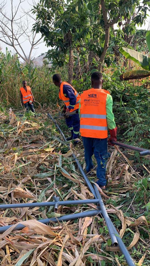 We are installing a #Greenhouse in Ombe - South West Region. 

Most Cameroonians are embracing the advantages of Greenhouse Farming. 

We construct greenhouses of various sizes and customise them to suit your environment.

#IdealFarmers