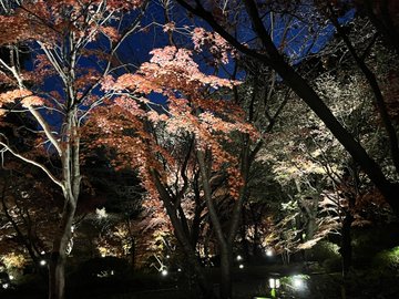 徳川園の紅葉 愛知県 紅葉名所22 ウォーカープラス
