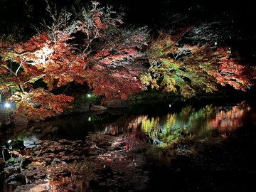 徳川園の紅葉 愛知県 紅葉名所22 ウォーカープラス