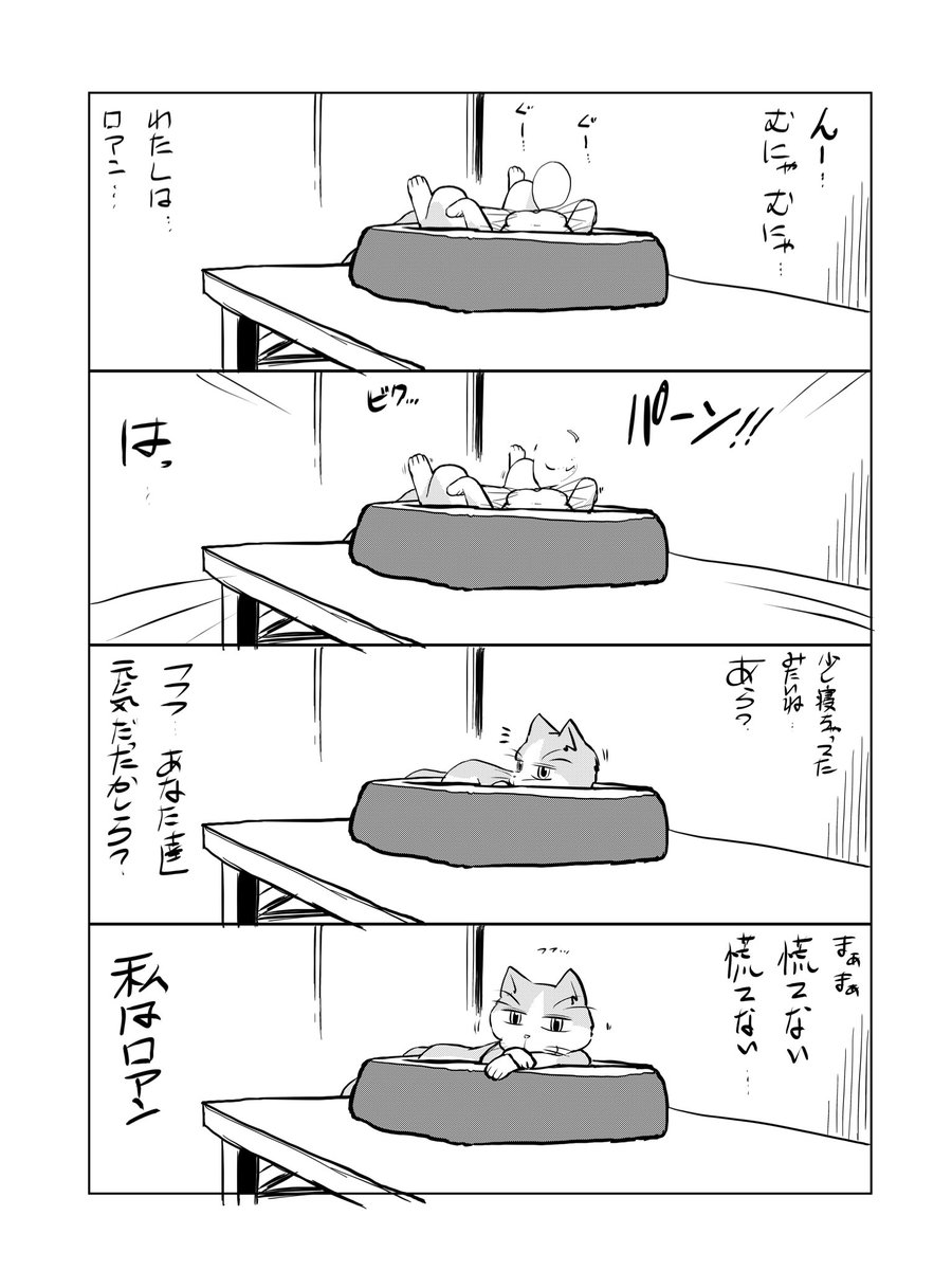 私はロアン第11話『復活のロアン』
#私はロアン #猫漫画 #職場の猫 