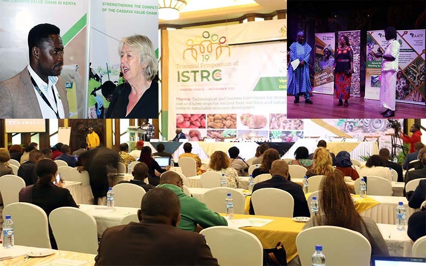 #ISTRC2022 conference gave us a tremendous opportunity to present our strategies in the cassava value chain - policy development, seeds systems, commercialization, inclusion of gender and nutrition <a href="/EUinKenya/">European Union In Kenya</a>  <a href="/nrcri_umudike/">NRCRI UMUDIKE</a> <a href="/aatfafrica/">AATF Africa</a> <a href="/IITA_CGIAR/">IITA</a> <a href="/kalromkulima/">KALRO</a>