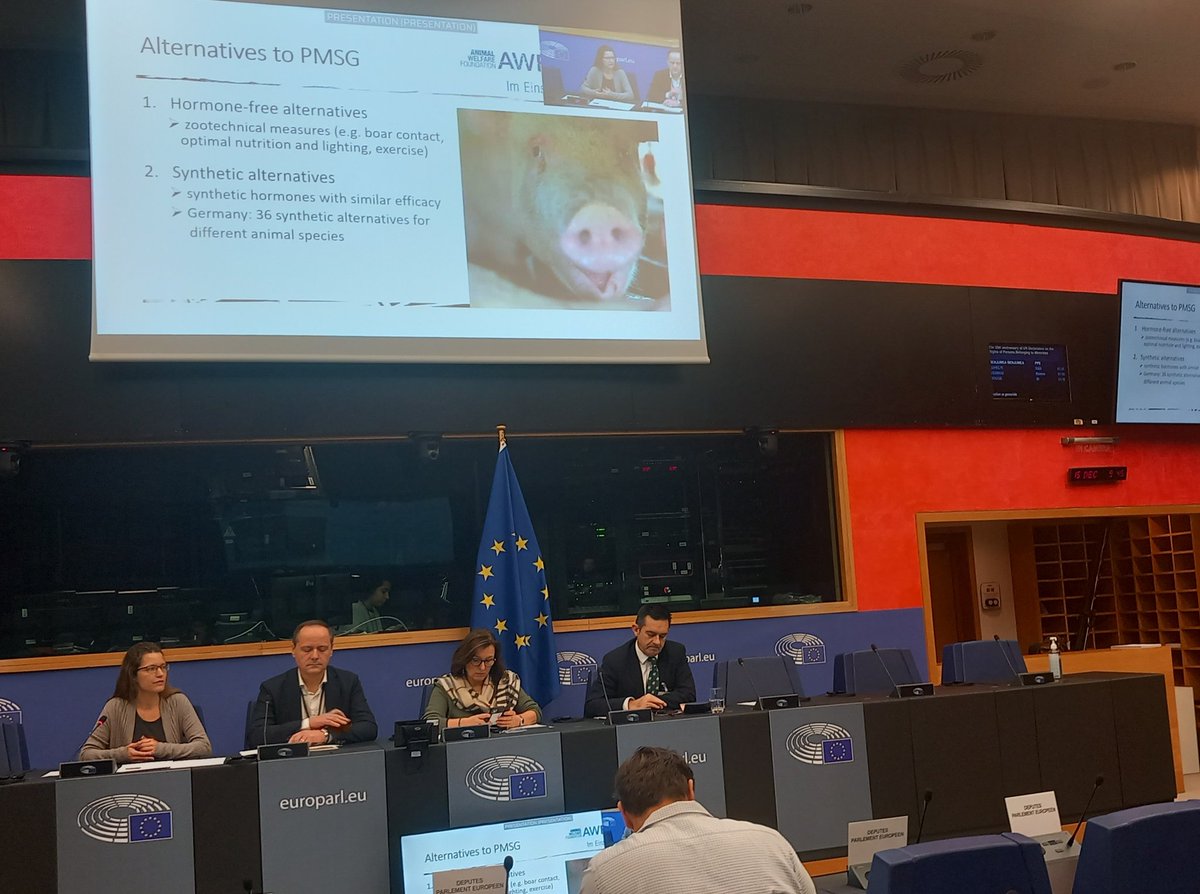 #Chevaux
Intervention de Sabrina Gurtner (<a href="/AWF_Germany/">Animal Welfare Foundation e.V.</a> <a href="/TSB_Zuerich/">Tierschutzbund Zürich</a>) lors de l'<a href="/AWintergroup/">Intergroup on Welfare and Conservation of Animals</a> pour interpeller les eurodéputés sur les fermes à sang en Argentine et Uruguay pour prélever l'hormone eCG utilisée pour la reproduction des porcs dans les élevages intensifs européens.